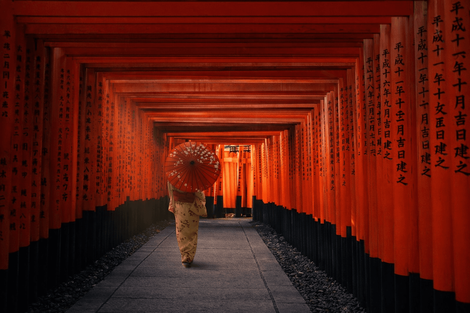 Fashion Show Background